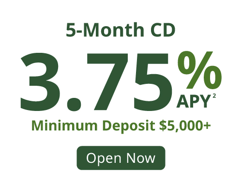 IndyOpening_WebProducts_CD-5