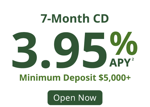 IndyOpening_WebProducts_CD-7
