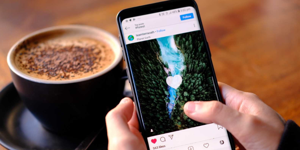 Common Social Media Scams and How to Avoid Them